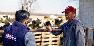 Continua apoyo a productores de Meoqui con Programa “Médico Visita mi Establo”