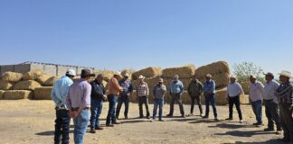 Invierte Gobierno del Estado más de 231 mdp en el desarrollo agropecuario de la región sur