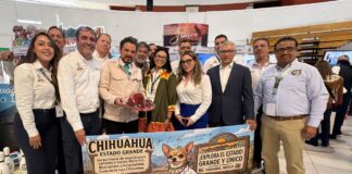 Fortalece IMSS Chihuahua la atención médica con la contratación de 389 especialistas en la entidad