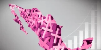 Alerta en México: mapa revela las zonas con más feminicidios en 2026