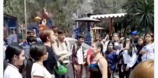 Riña entre alumnas frente a escuela termina en pelea campal y queda grabada en video
