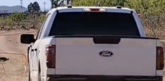 MACABRO HALLAZGO: Localizan cuerpo semidesnudo en brecha de la colonia Veteranos; animales habrían devorado parte del cadáver