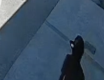 ¡SIN PIEDAD!: Captan a «rata» vaciando departamento en el sector poniente; se llevó hasta la bicicleta a plena luz del día