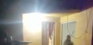 ¡TERMINÓ CHILLANDO!: Captan video de K9 sometiendo a sujeto armado con machete; el sospechoso se orinó del susto