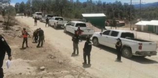 ¡DURÍSIMA BALACERA EN LA SIERRA! Enfrentamiento contra la Estatal deja dos abatidos y varios detenidos en Guadalupe y Calvo