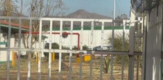 ¡ESCENA DE TERROR EN EL SECTOR INDUSTRIAL! Muere mujer aplastada; el reporte es devastador