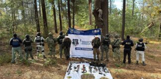 Tres criminales detenidos tras enfrentamientos con fuerzas del orden, dos más fueron abatidos