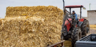 Están descapitalizados: Enfrentan productores altos costos de combustibles y competencia