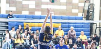 Inicia Copa Pantera de voleibol y reúne a más de 200 equipos en Delicias