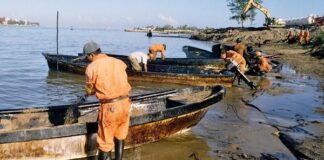 ¡DESASTRE EN EL GOLFO!: Reportan más de 825 toneladas de crudo en playas; hay denuncia penal y operativo de 3 mil elementos