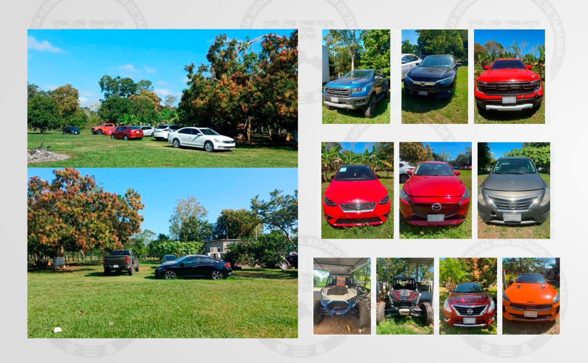 Golpe a La Barredora: detienen a dos mujeres con arsenal y autos