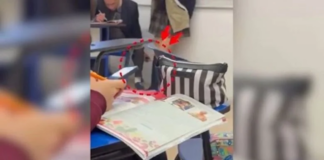 Vinculan a proceso a profesor por grabar bajo la falda de alumnas