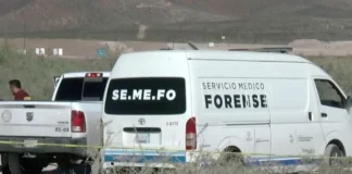 ¡LO DEJARON BAJO UN ÁRBOL! Hallan cuerpo «encobijado» y maniatado en el libramiento; pánico en la zona