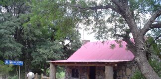 ¡TRAGEDIA FAMILIAR!: Abuelita pierde la vida tras volcar en cuatrimoto; su nieta resulta lesionada tras el fuerte accidente