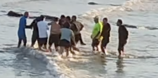 HEROICA TRAGEDIA: Logra salvar a cuatro niños de morir ahogados pero él no sobrevive tras el rescate; revelan video