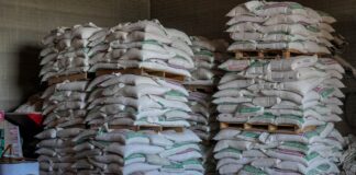 Apoyo a Lecheros: SDR abre convocatoria para subsidio de alimento concentrado en Chihuahua