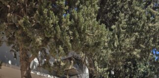 ¡EVACUACIÓN DE EMERGENCIA!: Corto circuito en aire acondicionado provoca incendio en plena iglesia