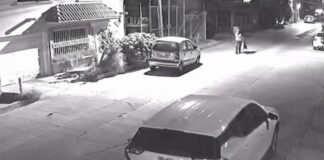 ¡CAPTADO EN VIDEO!: Exhiben a presunto ladrón de estéreos tras ola de robos; revelan su «modus operandi» durante la madrugada