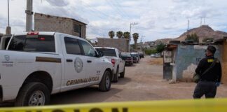 HALLAZGO MACABRO: Localizan a hombre de 78 años sin vida en una zanja; animales habrían carcomido su rostro